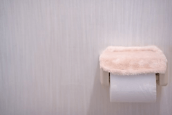 セスキ炭酸ソーダでトイレの壁を簡単に掃除する方法とポイント All Right Info
